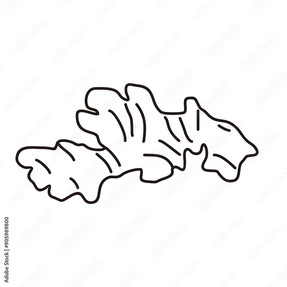 Fototapeta premium Ginger Outline Style Doodle