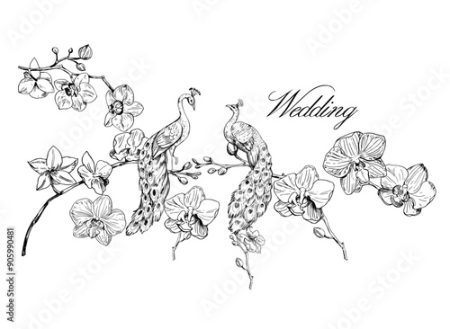 Peacock and Orchid flowers line art