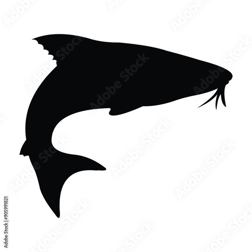 freshwater fish silhouette on black and white background
