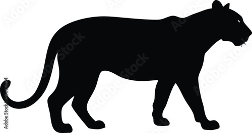 Black panther silhouette vector illustration 