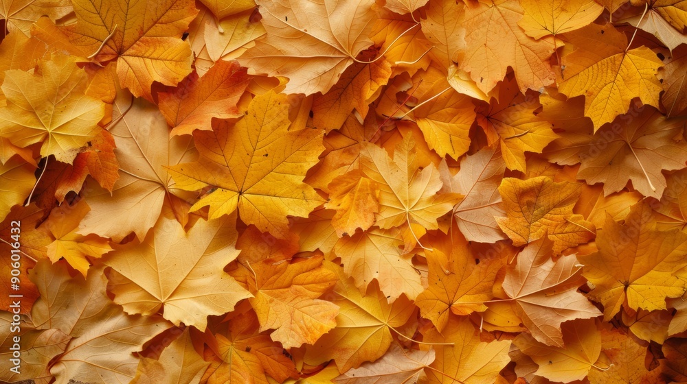 Autumn Background with Pile of Yellow and Orange Leaves Autumn Background with Pile of Yellow and Orange Leaves