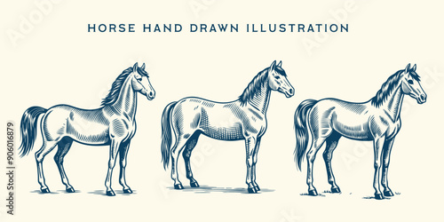 horse vector hand drawn illustration