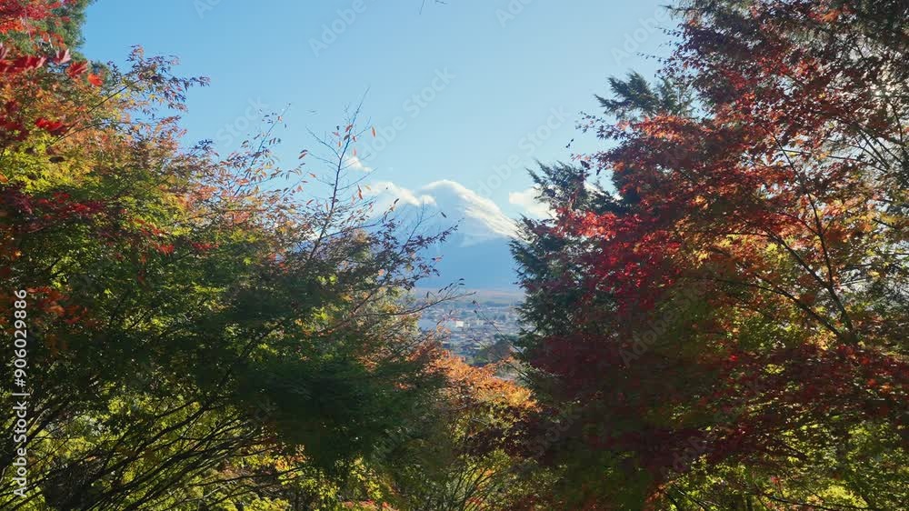 Mount Fuji view in Autumn season, colorful fall foliage leaves at Chureito Pagoda, Yamanashi, Japan. Landmark for tourists attraction. Japan Travel, Destination, Vacation and season change concept Mount Fuji view in Autumn season, colorful fall foliage leaves at Chureito Pagoda, Yamanashi, Japan. Landmark for tourists attraction. Japan Travel, Destination, Vacation and season change concept