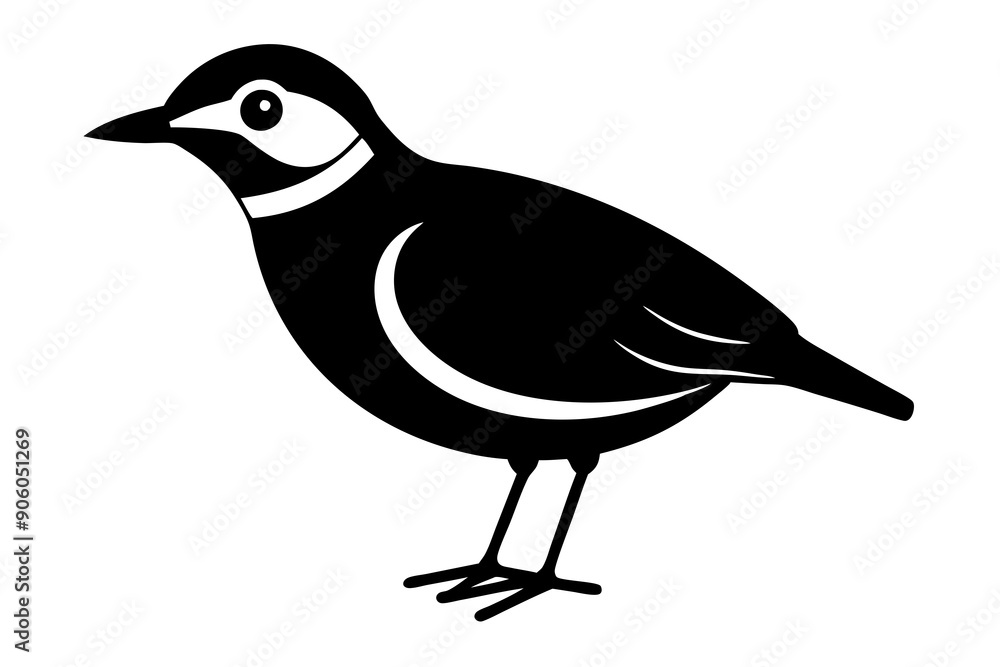 Fototapeta premium illustration of a bird silhouette vector