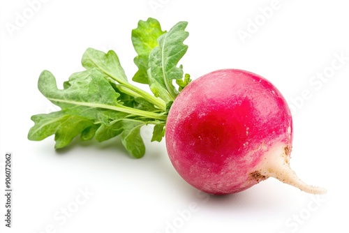 Radish isolated on white background, full depth of field , ai