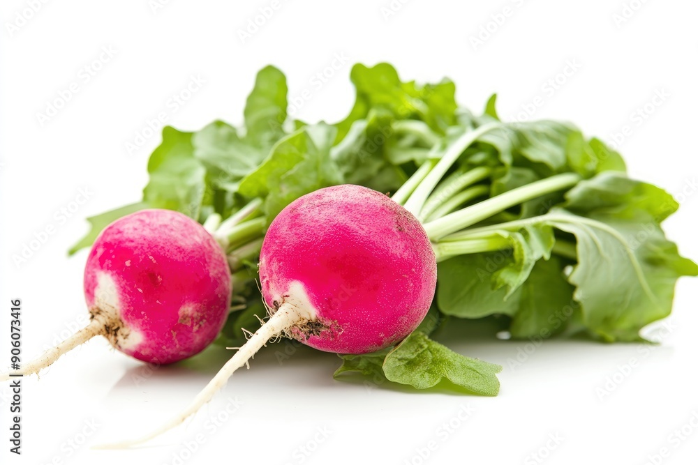 Radish isolated on white background, full depth of field , ai Radish isolated on white background, full depth of field , ai