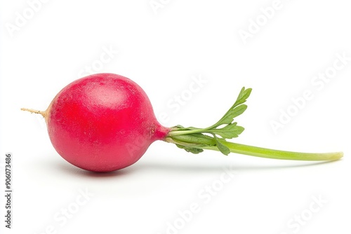 Radish isolated on white background, full depth of field , ai