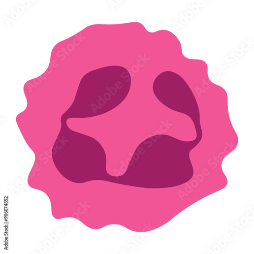 megaloblastic anemia cell