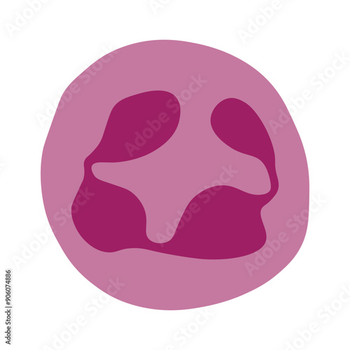megaloblastic anemia cell