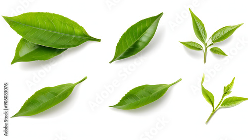 green tea leaves isolated on white