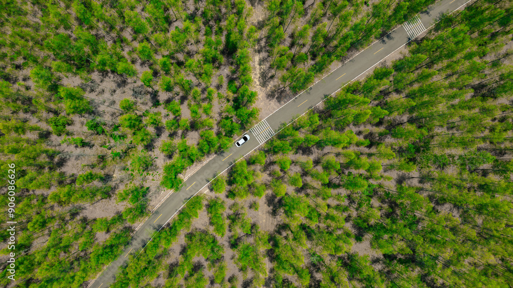 Aerial view of dark green forest road and white electric car Natural landscape and elevated roads Adventure travel and transportation and environmental protection concept Aerial view of dark green forest road and white electric car Natural landscape and elevated roads Adventure travel and transportation and environmental protection concept