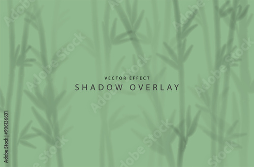 The transparent shadow overlay effect. Shade from bamboo stems and leaves. Abstract background for product presentation