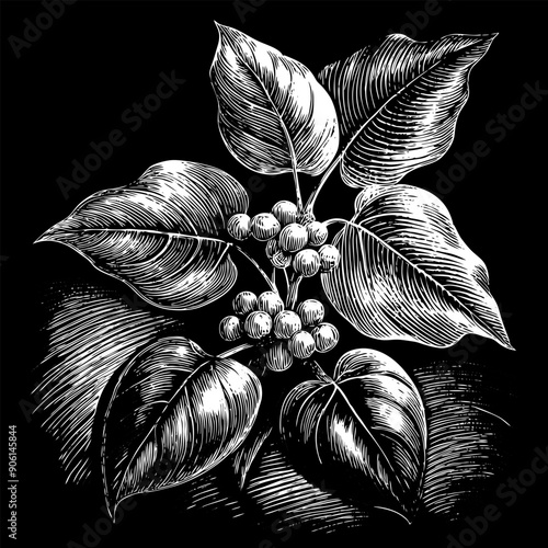 A drawing of a leafy plant with berries