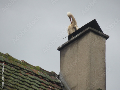 Eguisheim im Elsass