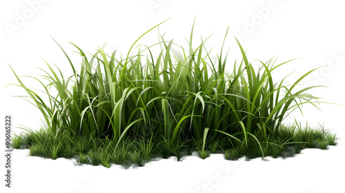 Green  grass isolated on png background,generative ai