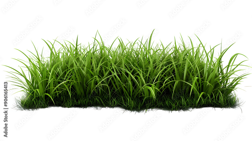 Green grass isolated on png background,generative ai Green grass isolated on png background,generative ai
