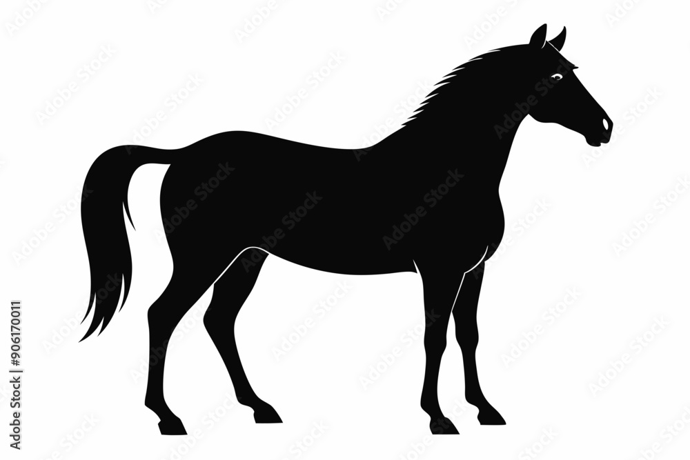 morgan horse silhouette, horse silhouette vector
morgan horse silhouette, horse silhouette vector
