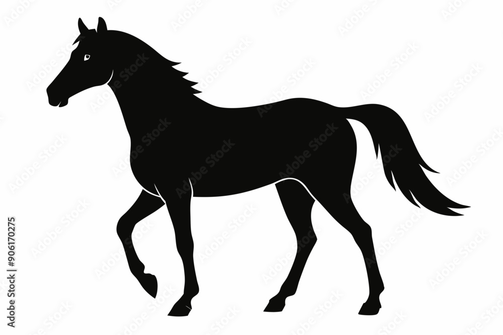 morgan horse silhouette, horse silhouette vector
morgan horse silhouette, horse silhouette vector