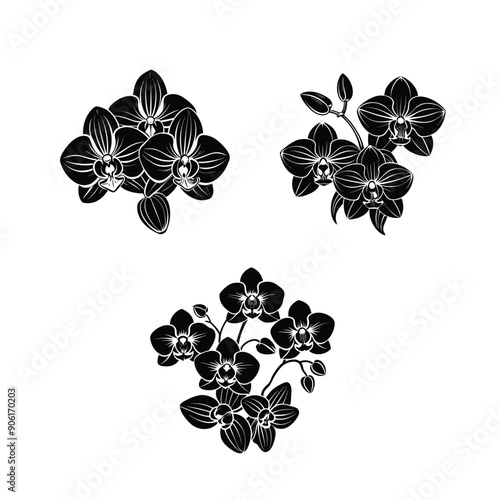 orchid flowers black colour silhouette vector design 2