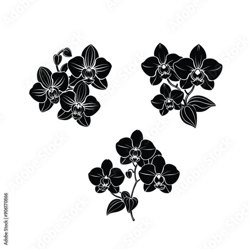 orchid flowers black colour silhouette vector design 2