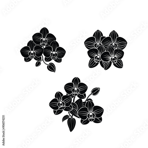 orchid flowers black colour silhouette vector design 3