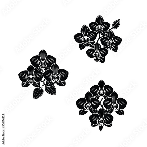 orchid flowers black colour silhouette vector design 3