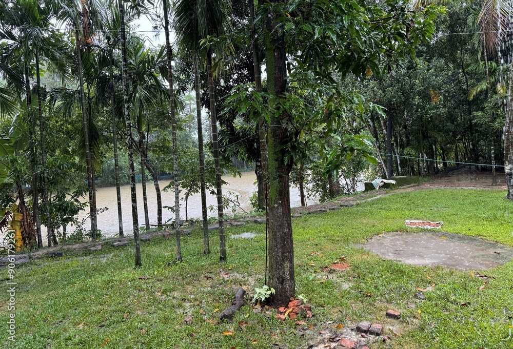 A grass field with trees and a river A grass field with trees and a river