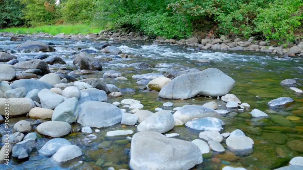 A gentle river flows through a forest late in the summer, surrounded by lush greenery and casting a serene and tranquil atmosphere, highlighting the beauty of nature A gentle river flows through a forest late in the summer, surrounded by lush greenery and casting a serene and tranquil atmosphere, highlighting the beauty of nature