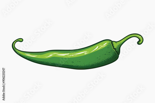 Green chili pepper illustration