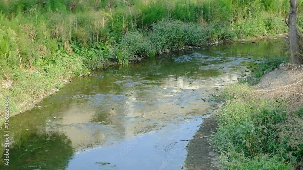 A stream with low water and green surroundings. Decreasing water due to hot weather A stream with low water and green surroundings. Decreasing water due to hot weather