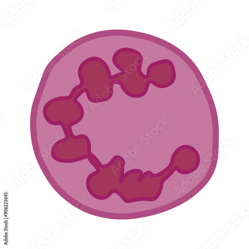 megaloblastic anemia cell