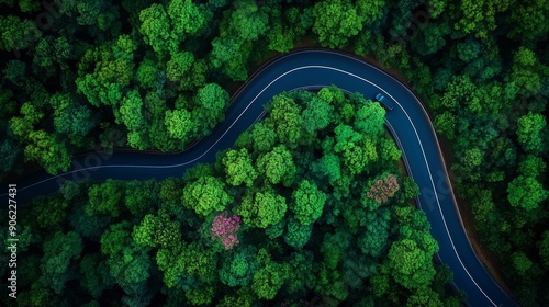 A winding road through a forest with trees on both sides