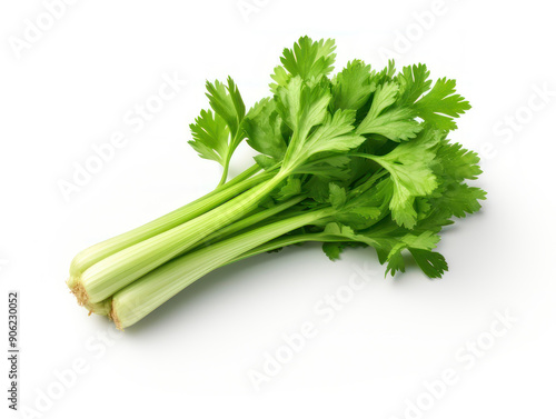 Fresh Celery Isolated on white background photo