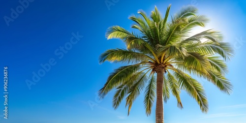 Fototapeta Naklejka Na Ścianę i Meble -  summer palm tree on blue sky background Generative AI