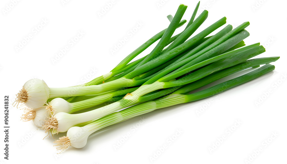 Green onion isolated on the white background with full depth of field Green onion isolated on the white background with full depth of field
