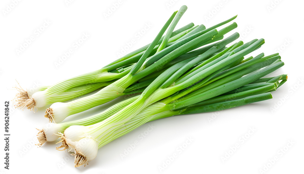 Green onion isolated on the white background with full depth of field Green onion isolated on the white background with full depth of field