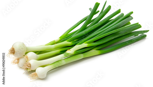 Green onion isolated on the white background with full depth of field