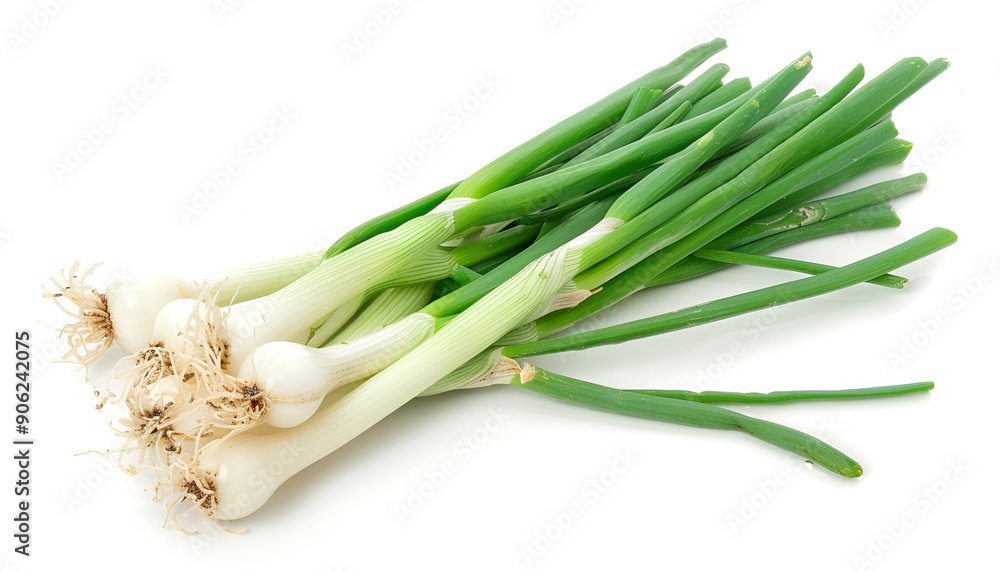 Green onion isolated on the white background with full depth of field Green onion isolated on the white background with full depth of field