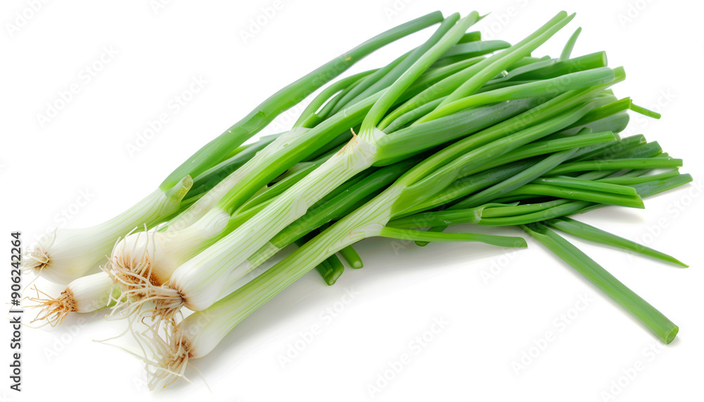 Obraz premium Green onion isolated on the white background with full depth of field