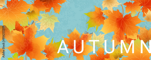 Autumn abstract banner with bright beautiful maple leaves. Fall art background, poster, cover or flyer design. Vector template for advertising, print, packaging, social media