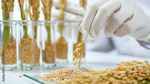 Advancements in Genetic Research: Seed Modification Techniques for Improved Rice Varieties