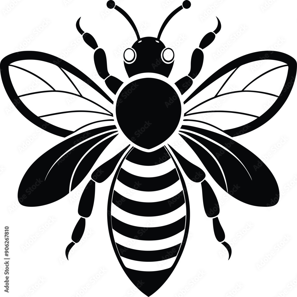 Fototapeta premium black and white butterfly