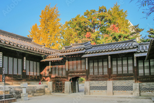 Jongno-gu, Seoul, South Korea - November a 2022: Autumnal and afternoon view of yard and window door of tile-roofed house against yellow maple trees at Unhyeon Palace
 photo