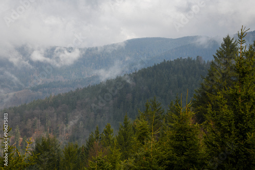 Misty Morning Overlook at Nationalpark Schwarzwald, Black Forest National Park