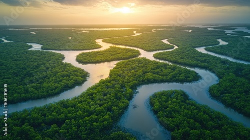 Stunning aerial photo of Saloum Delta National Park, highlighting the intricate patterns of its mangrove ecosystem photo