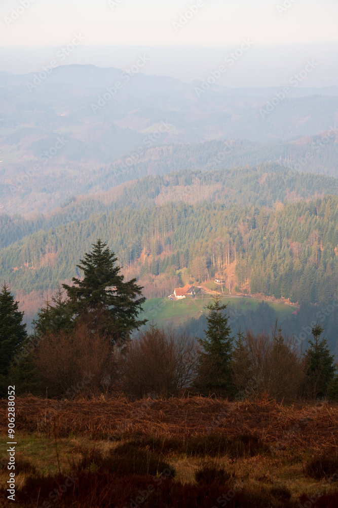 Fototapeta premium Misty Morning Overlook at Nationalpark Schwarzwald, Black Forest National Park