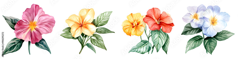 Flowers Set Watercolor Style Isolated Transparency Background Flowers Set Watercolor Style Isolated Transparency Background
