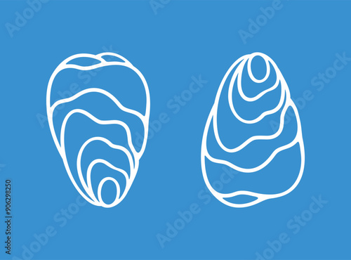 Oyster outline. Isolated oyster  on white background