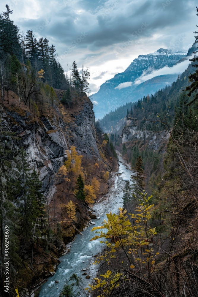 Mountain Forest River Scene Mountain Forest River Scene