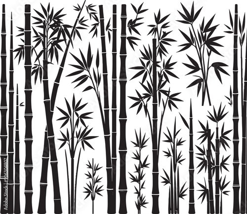 Bamboo plant silhouette vector illustration isolated on a white background